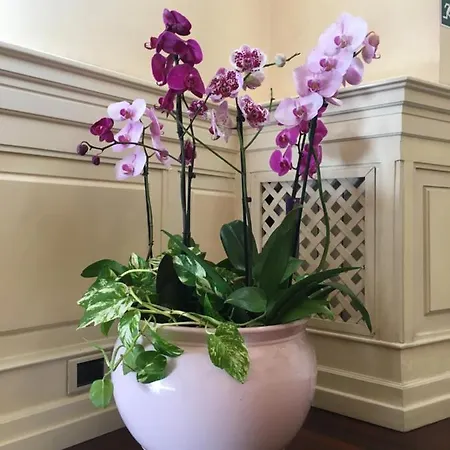 Villino Margherita * روما