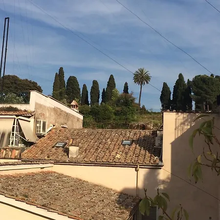 Orange Garden