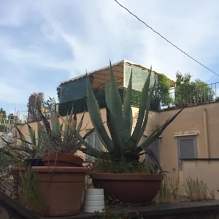 Hotel Orange Garden