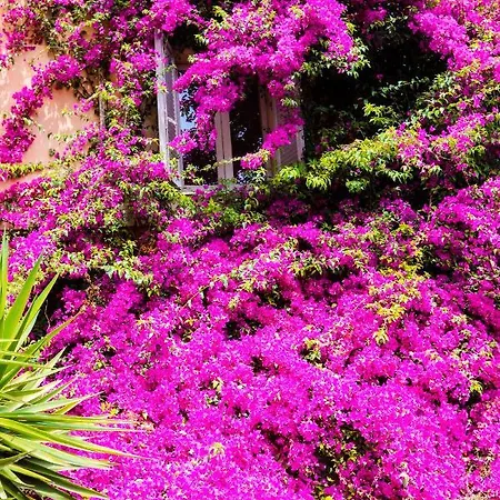 Appartement Orti 27 Garden - Trastevere Rome