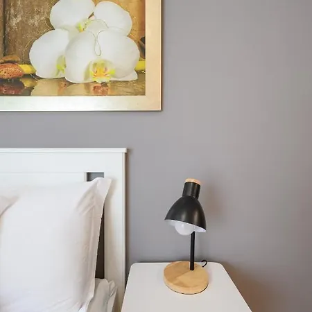 Via Nicola Fabrizi Apartment Rome