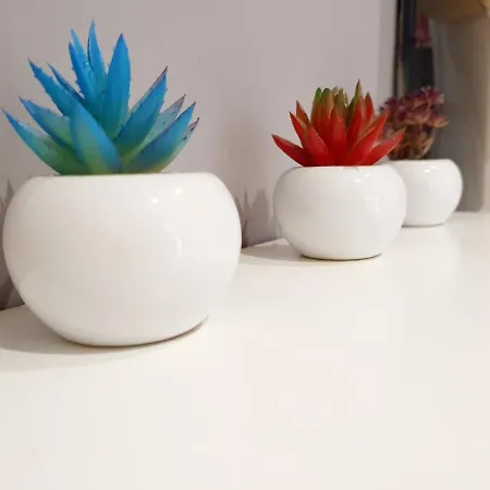 Via Nicola Fabrizi Apartment *