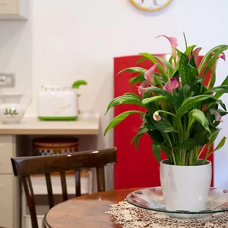 Casa Bouganville - St. Peter Romantic Apartment *