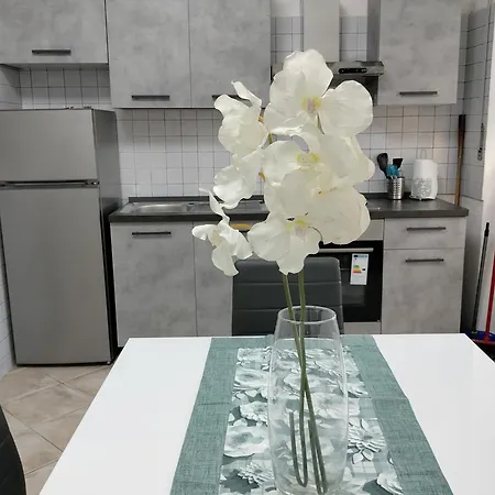 Claudiae Domus Apartment Rome