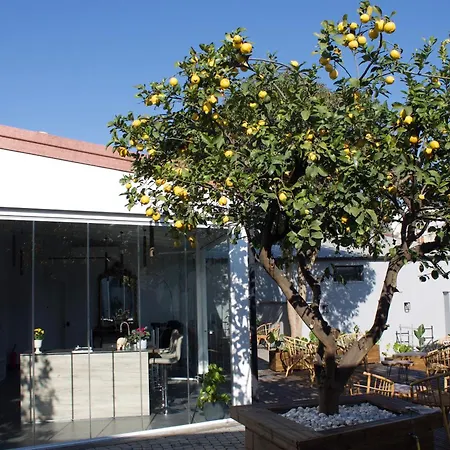 Guest house Domus Matris Rome