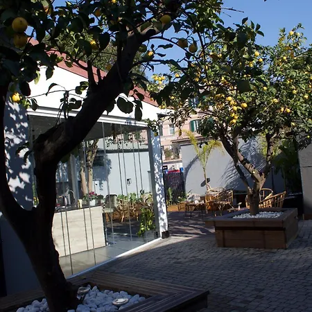 Domus Matris Guest house
