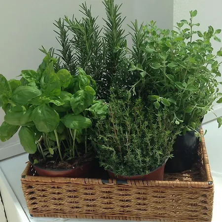 Select Garden Ρώμη