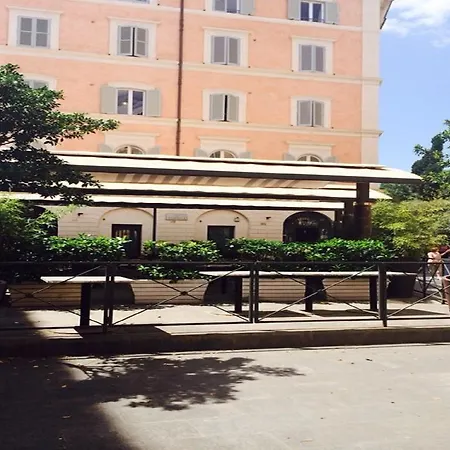 Orange Garden
