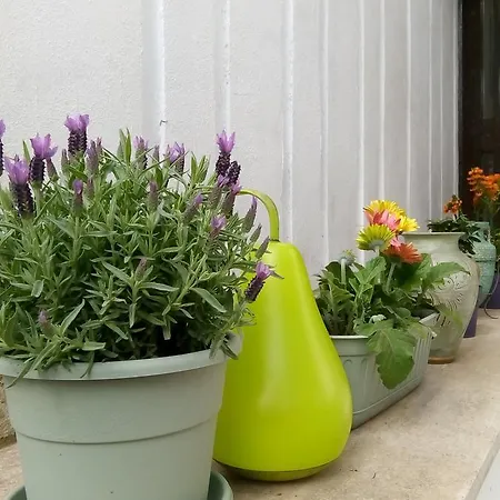 Bed & Breakfast Aquarius Rome Rome
