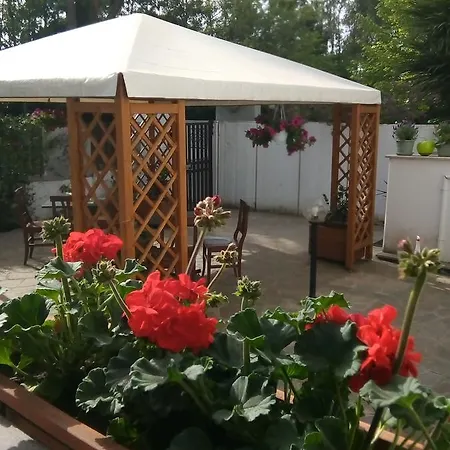 Bed & Breakfast Aquarius Rome Rome