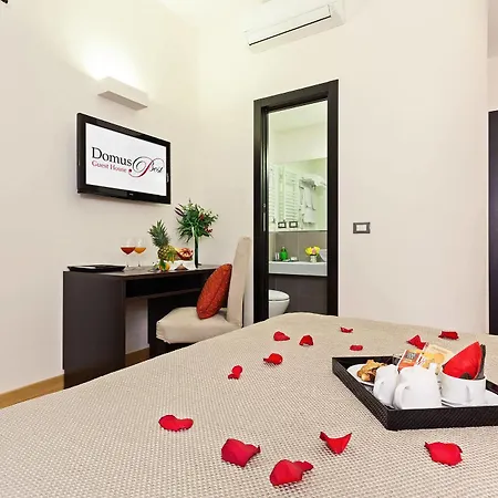 Domus Best Guest House Guest house