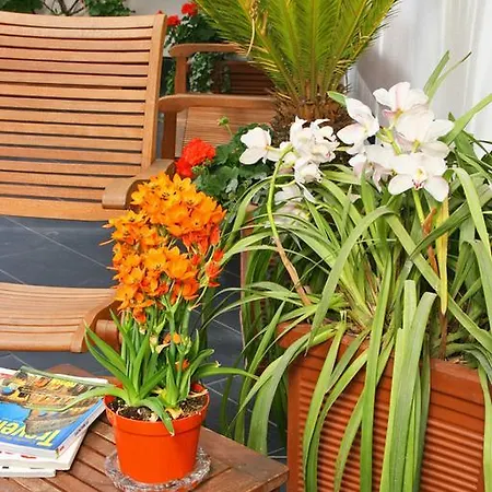 Hotell Arcangelo