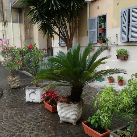 Homestay Trastevere, What Else...