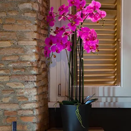 Rhome Luxury Roma