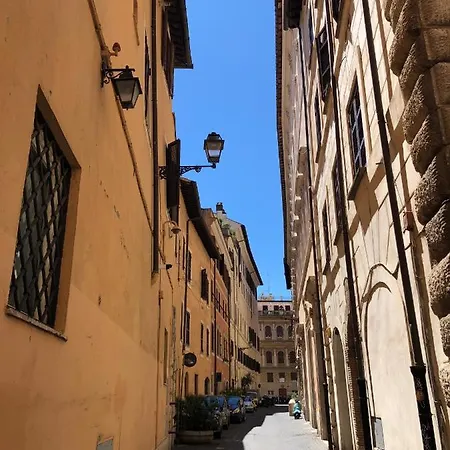 Navona