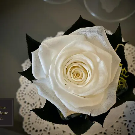 Pensjonat Terrace Boutique *