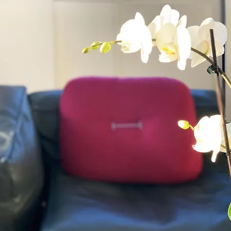 Casa Terrazza Colosseo Appartement Rome