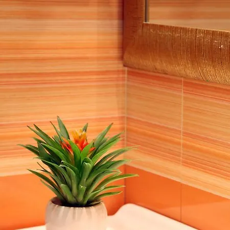 Serena Srl Hotel Roma