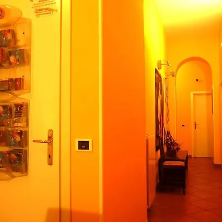 Discover Guest house
