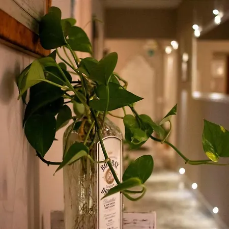 Bed & Breakfast In Trastevere House 2*