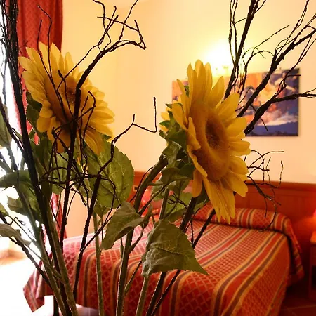 Discover Guest house 2*