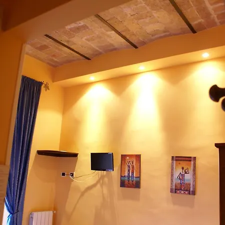 Discover Guest house