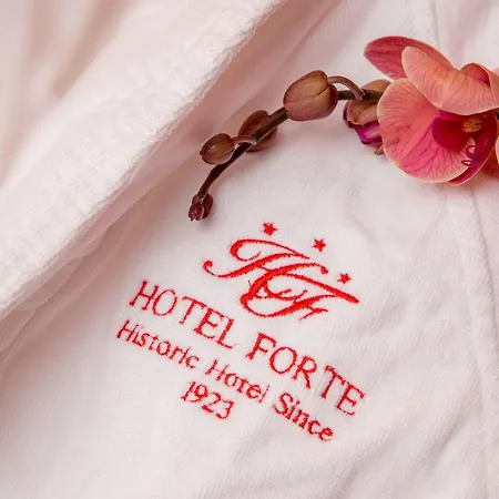Hotel Hotel Forte