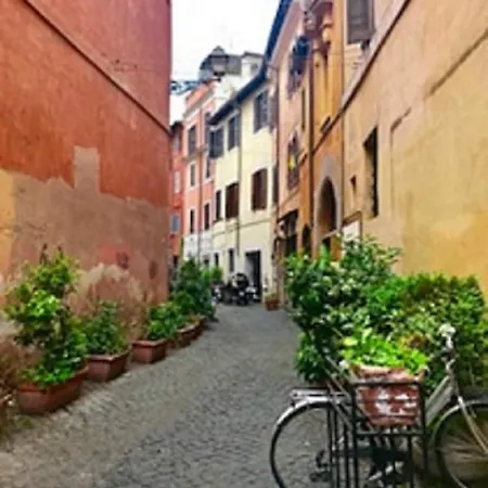 Zen Trastevere Roma