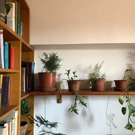 Lizartgarden Panoramic Homestay