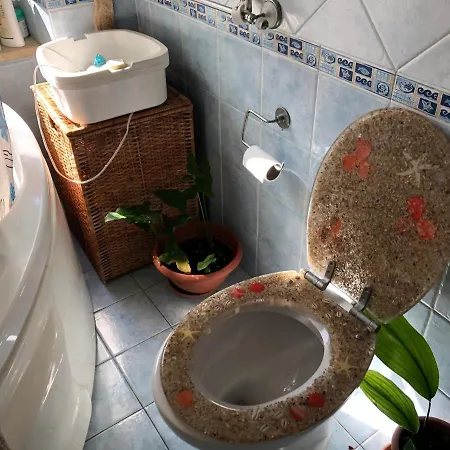 Lizartgarden Panoramic Homestay