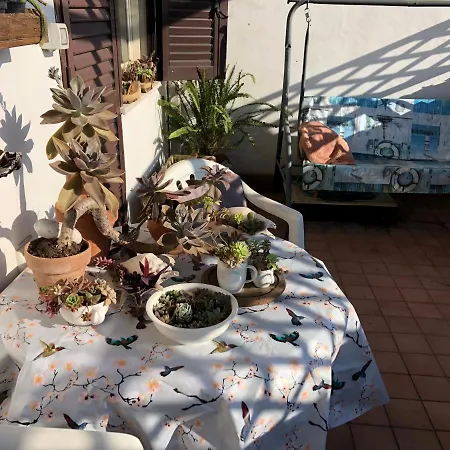 Homestay Lizartgarden Panoramic