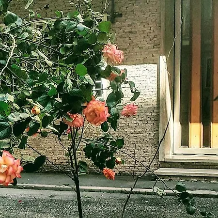 Casa Rosi Appartamento *