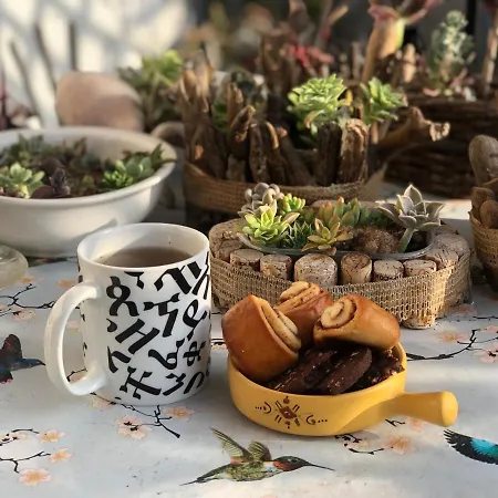 Lizartgarden Panoramic *