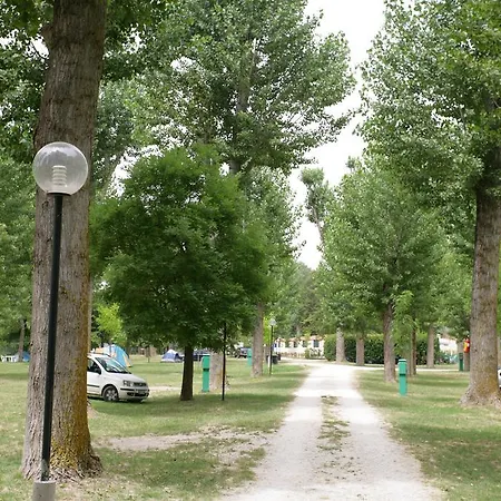 Tiber 2*