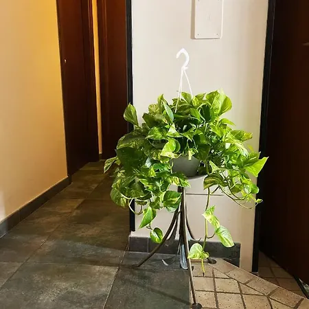 克拉里安楼酒店 住宿加早餐酒店 罗马