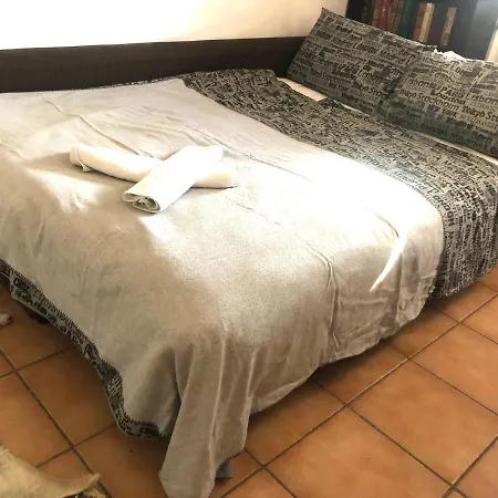 Homestay Lizartgarden Panoramic