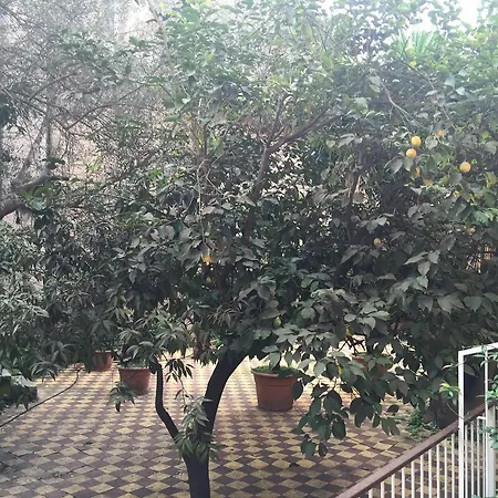 Domus Aventina מלון רומא