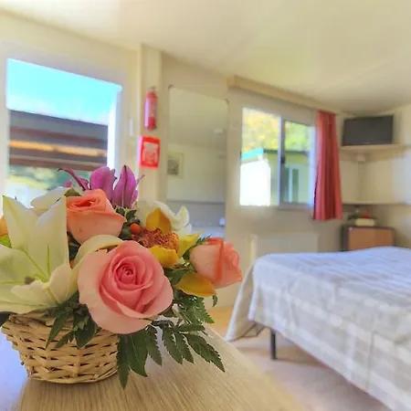 Flaminio Village Park Campsite Rome