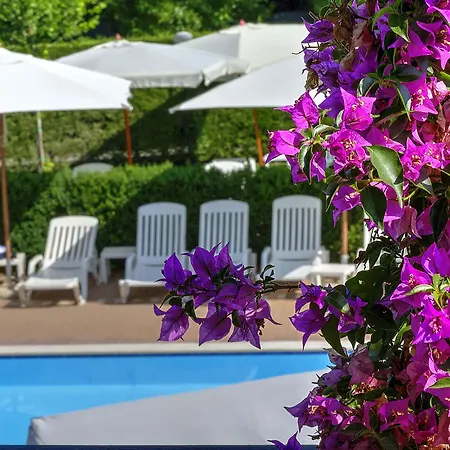 Flaminio Village Park Campsite Rome