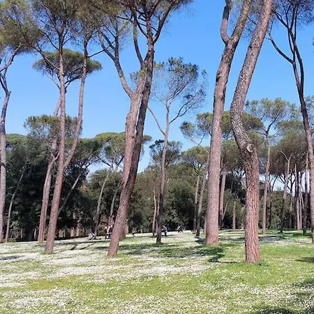 Apartment Magnifica In Centro Rome