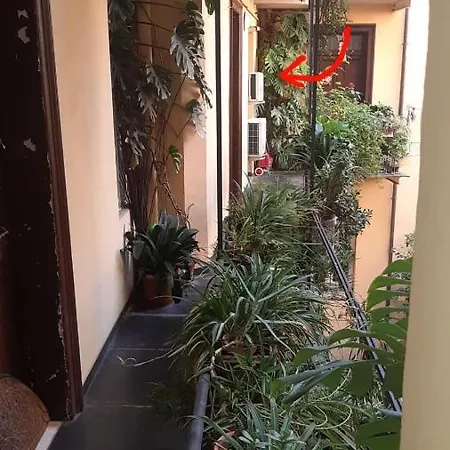 Apartment Charme De Vatican *