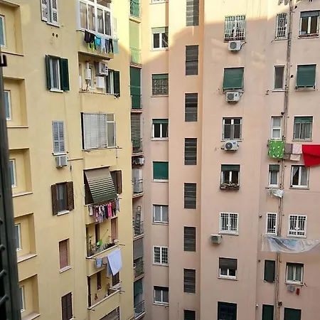 招待所 Luciano Licia