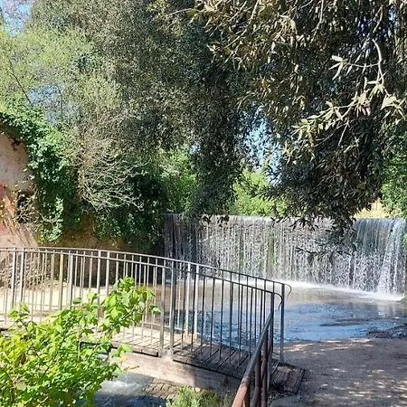 La Casa Di Bambi