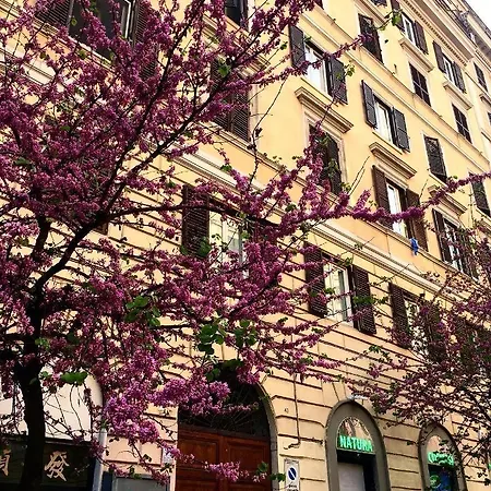 Apartment In Rome