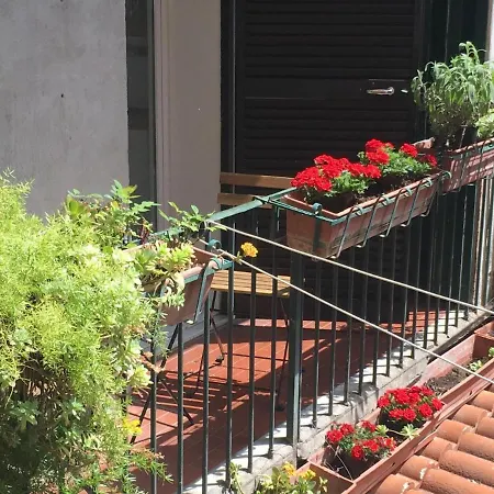 Bella Trastevere