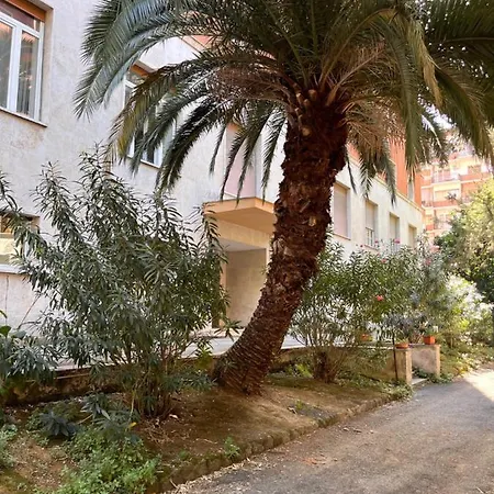 Tatil Evi Night And Day *