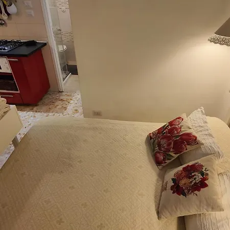 Sergio Tourist Rental Close Tiburtina Station Rome