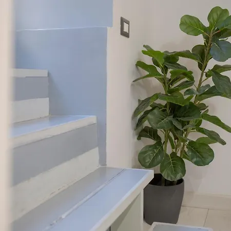 D'elite Cunfida - Vatican San Pietro Apartment Rome