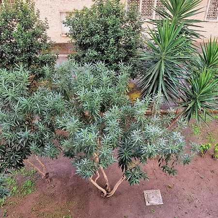 Appartamento Casa Rosi