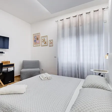 Vaticandream Guest house *